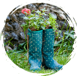 Welly boots with plants inside